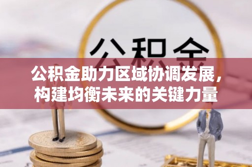 漾濞公积金助力区域协调发展，构建均衡未来的关键力量