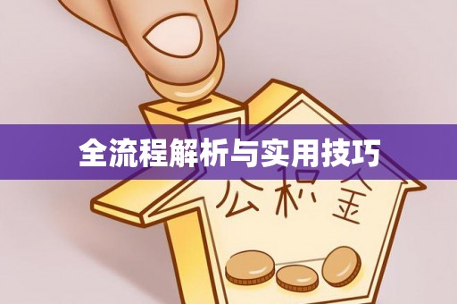 漾濞全流程解析与实用技巧