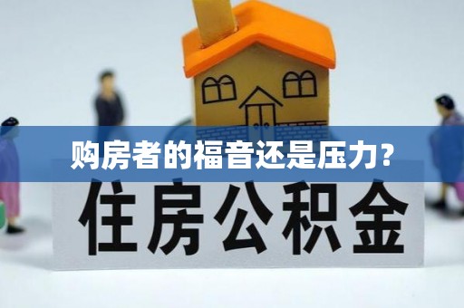 漾濞购房者的福音还是压力？