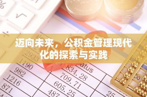 漾濞迈向未来，公积金管理现代化的探索与实践