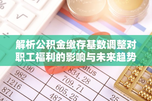 漾濞解析公积金缴存基数调整对职工福利的影响与未来趋势