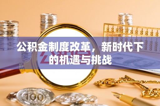 漾濞公积金制度改革，新时代下的机遇与挑战