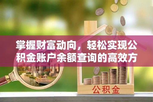 漾濞掌握财富动向，轻松实现公积金账户余额查询的高效方式