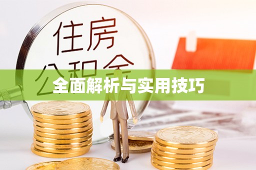 漾濞全面解析与实用技巧