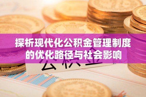 漾濞探析现代化公积金管理制度的优化路径与社会影响