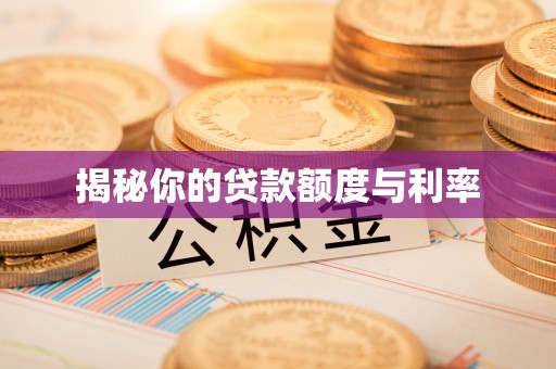 漾濞揭秘你的贷款额度与利率