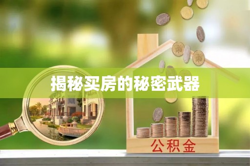 漾濞揭秘买房的秘密武器