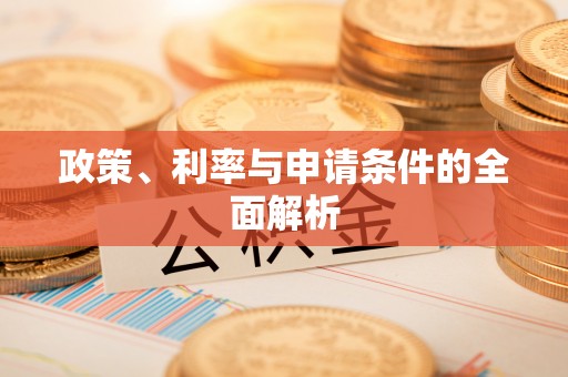 漾濞政策、利率与申请条件的全面解析