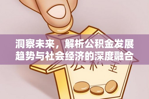 漾濞洞察未来，解析公积金发展趋势与社会经济的深度融合