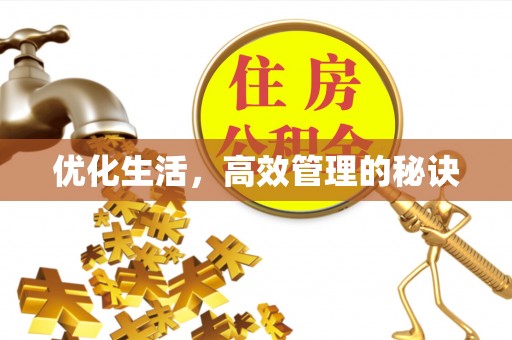漾濞优化生活，高效管理的秘诀