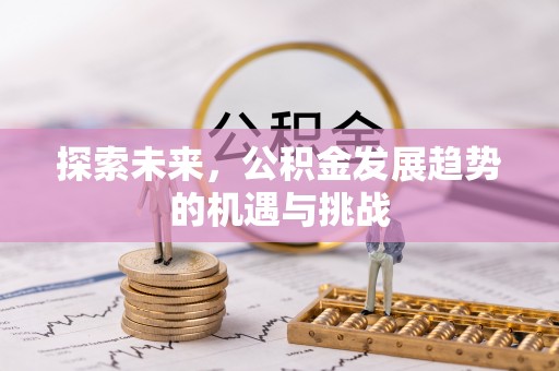 漾濞探索未来，公积金发展趋势的机遇与挑战
