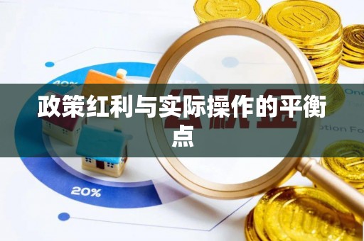 漾濞政策红利与实际操作的平衡点
