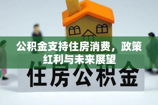 漾濞公积金支持住房消费，政策红利与未来展望