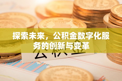 漾濞探索未来，公积金数字化服务的创新与变革
