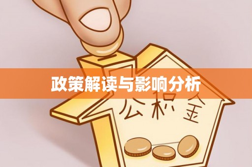 漾濞政策解读与影响分析