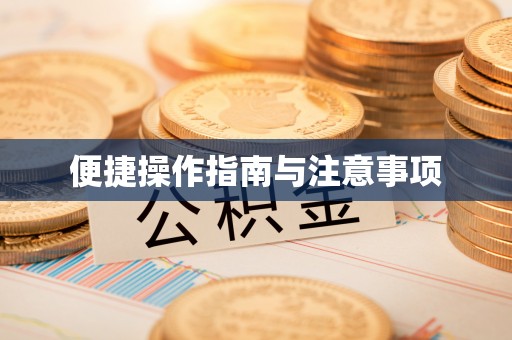 漾濞便捷操作指南与注意事项