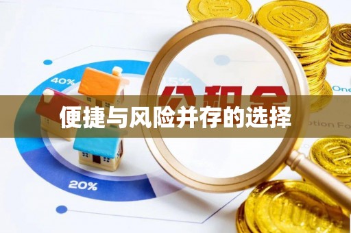 漾濞便捷与风险并存的选择