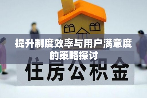 漾濞提升制度效率与用户满意度的策略探讨