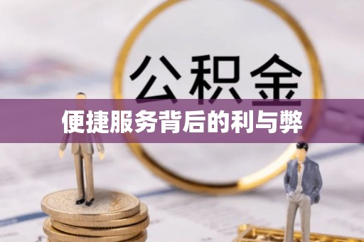 漾濞便捷服务背后的利与弊